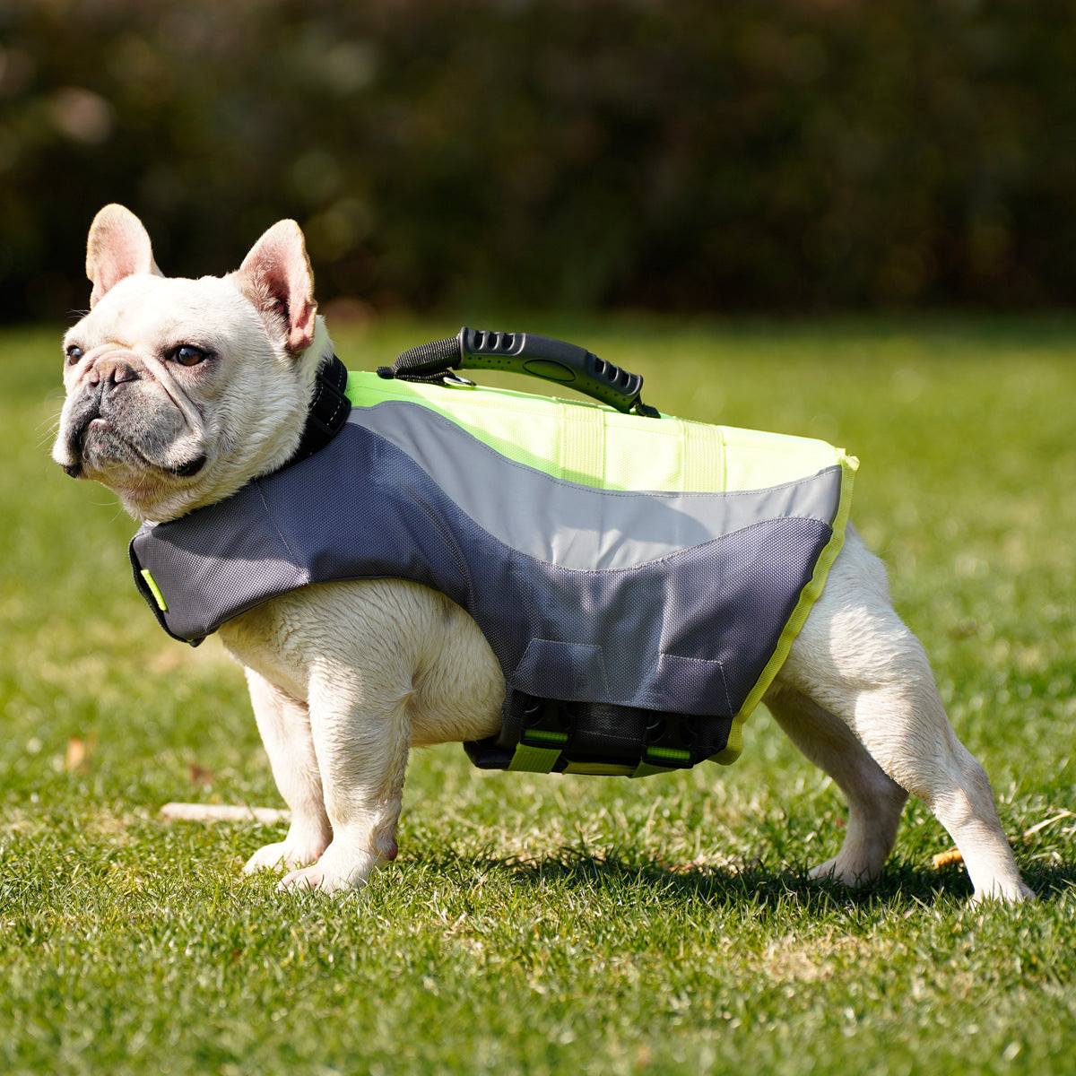 New Reflective Pet Dog Swimsuit Life Jacket Main image