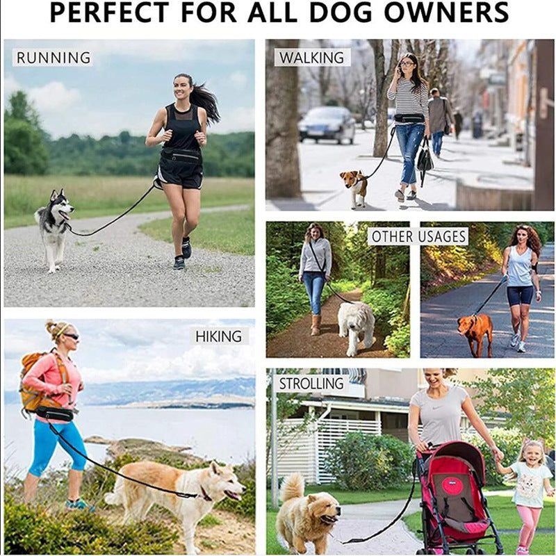 Hands Free Dog Leash Pet Walking And Training Belt With Shock Absorbing Bungee Leash For Up To 180lbs Large Dogs Phone Pocket And Water Bottle Holder Secondary image