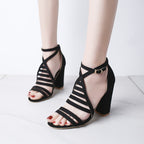 Pointed square heel buckle heels