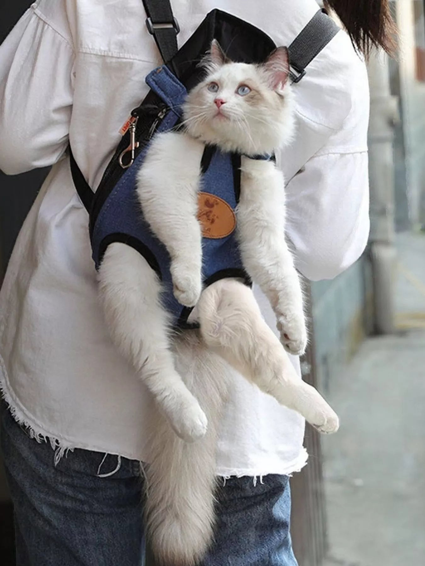 Adjustable Straps Pet Carrier Backpack Secondary image