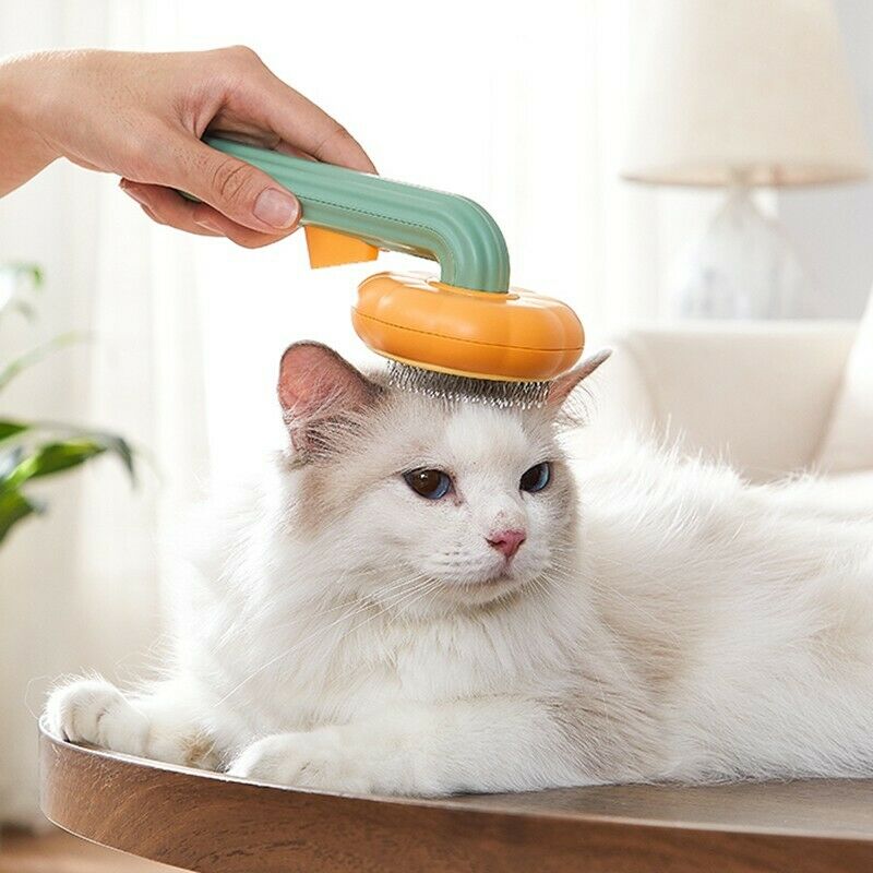 Pet Pumpkin Brush, Pet Grooming Self Cleaning Slicker Brush For Dogs Cats Puppy Rabbit, Cat Brush Grooming Gently Removes Loose Undercoat, Mats Tangled Hair Slicker Brush Secondary image