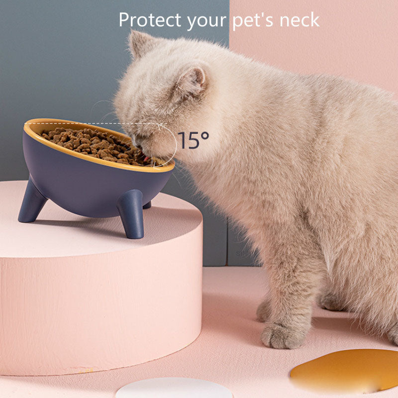 Cat Dog Bowl With Stand Pet Feeding Food Bowls Dogs Bunny Rabbit Nordic Color Feeder Product Supplies Pet Accessories Secondary image