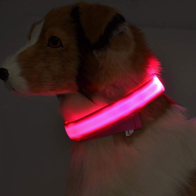 Nylon LED Pet Dog Luminous Collar Night Safety Flashing Glow in Dark Dog Cat Leash Adjustable Pet Supplies Secondary image