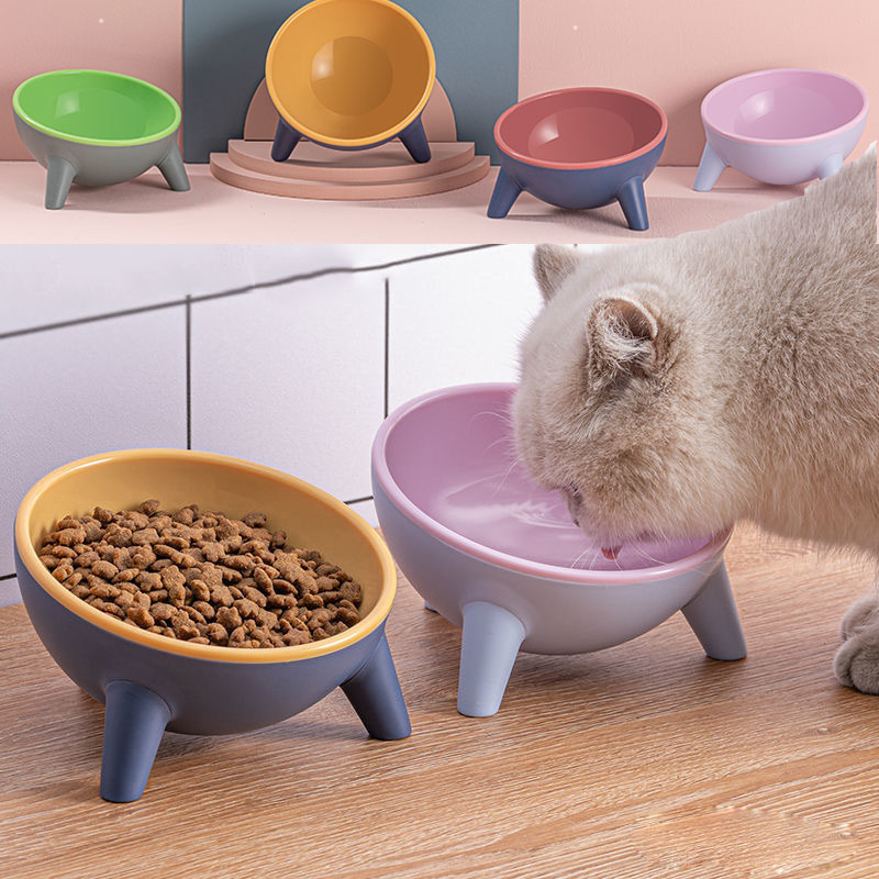 Cat Dog Bowl With Stand Pet Feeding Food Bowls Dogs Bunny Rabbit Nordic Color Feeder Product Supplies Pet Accessories Main image