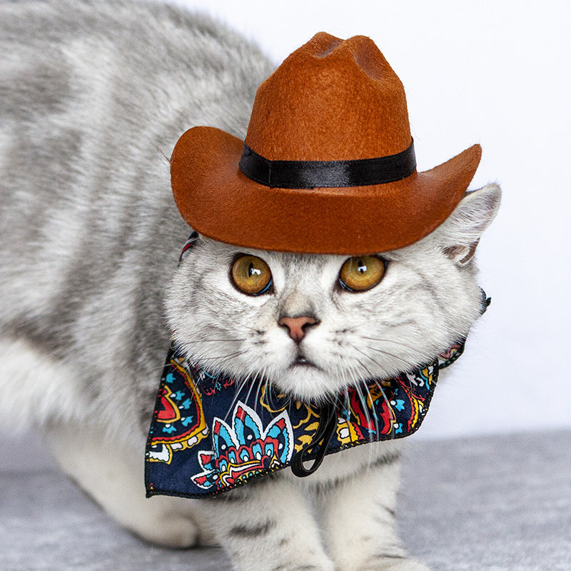 Pet Cat Western Straw Cowboy Hat Secondary image