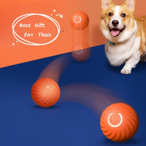 Pet Dog Rubber Ball Toys For Dogs Resistance To Bite Dog Chew Toys Puppy Pets Dogs Training Products Main image