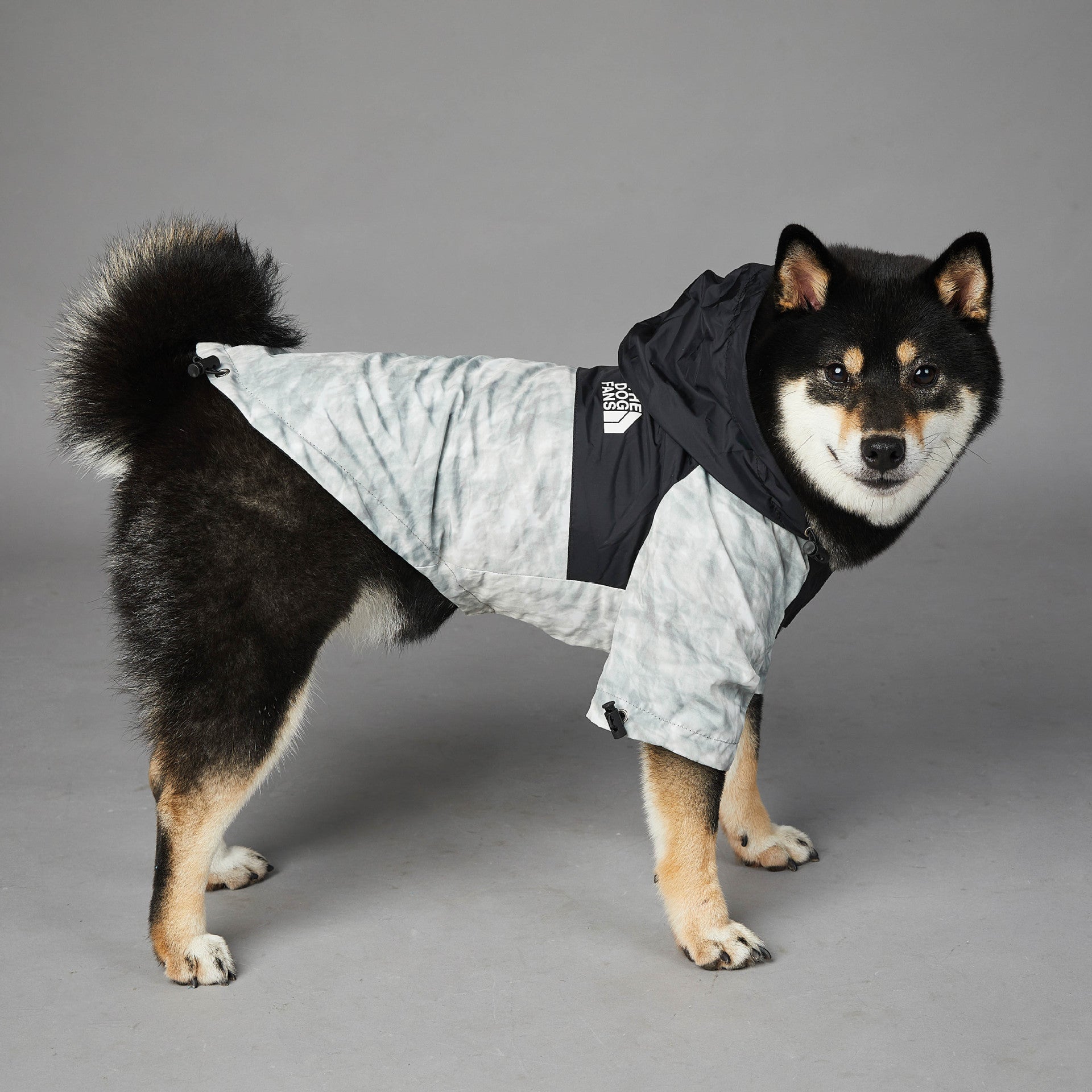 Dog Noodles New Dog Large Dog Dog Pet Shell Jacket Main image