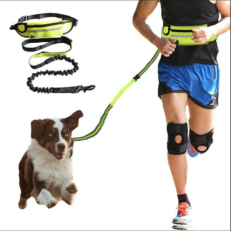 Hands Free Dog Leash Pet Walking And Training Belt With Shock Absorbing Bungee Leash For Up To 180lbs Large Dogs Phone Pocket And Water Bottle Holder Main image