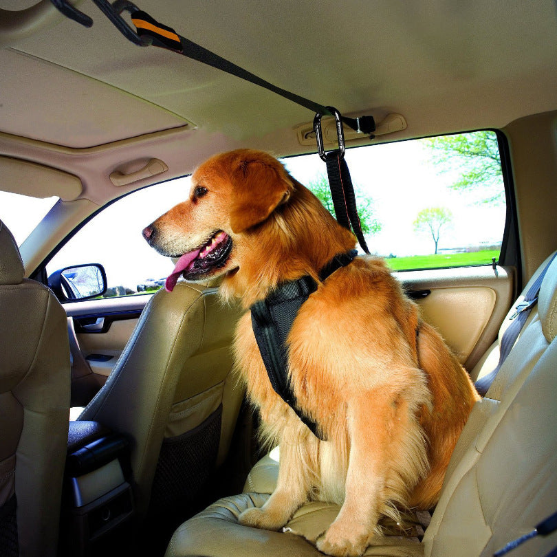 Pet Safety Belt Dual-purpose Car Lanyard Secondary image