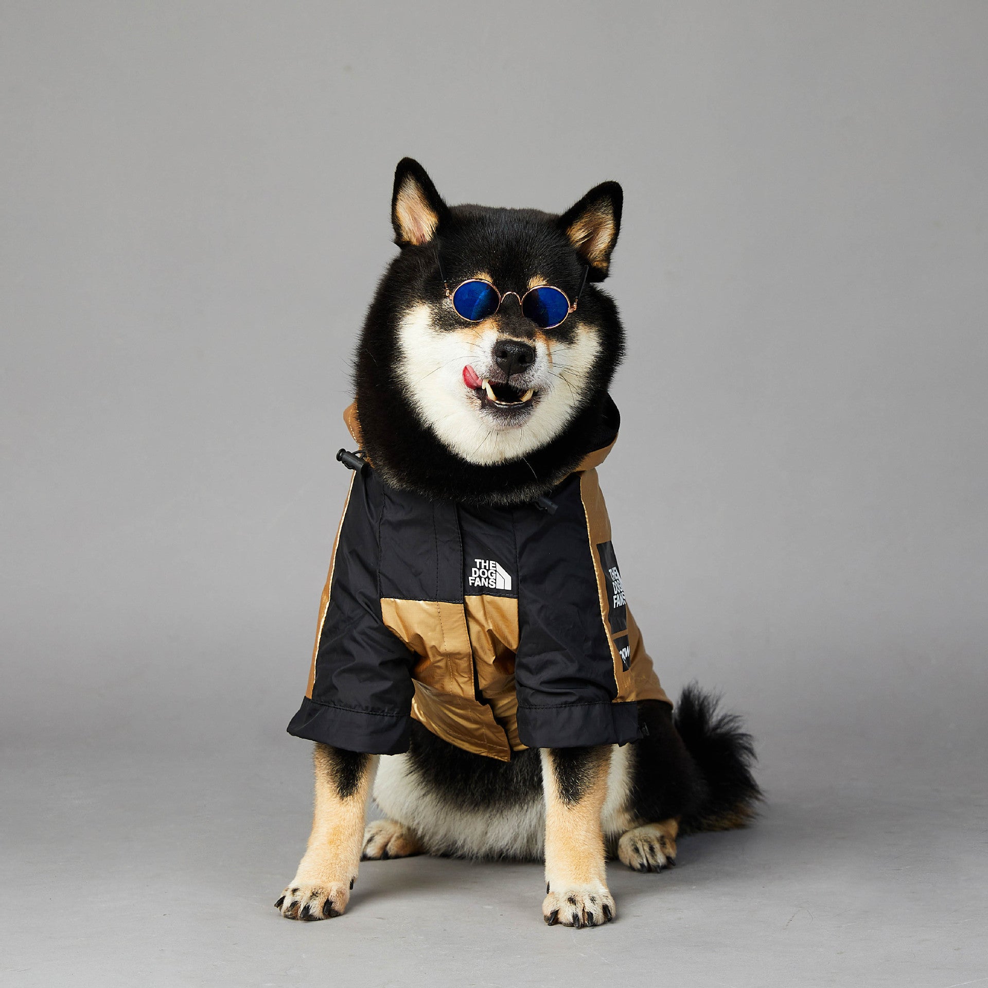 Dog Large Dog Raincoat Pet Jacket Secondary image