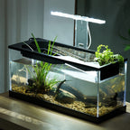 Acrylic Filter Circularly Heating Lighting Integrated Lazy Aquarium