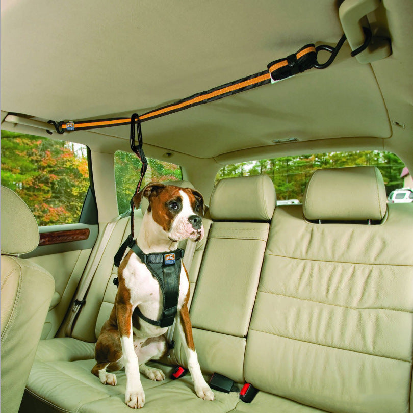 Pet Safety Belt Dual-purpose Car Lanyard Main image