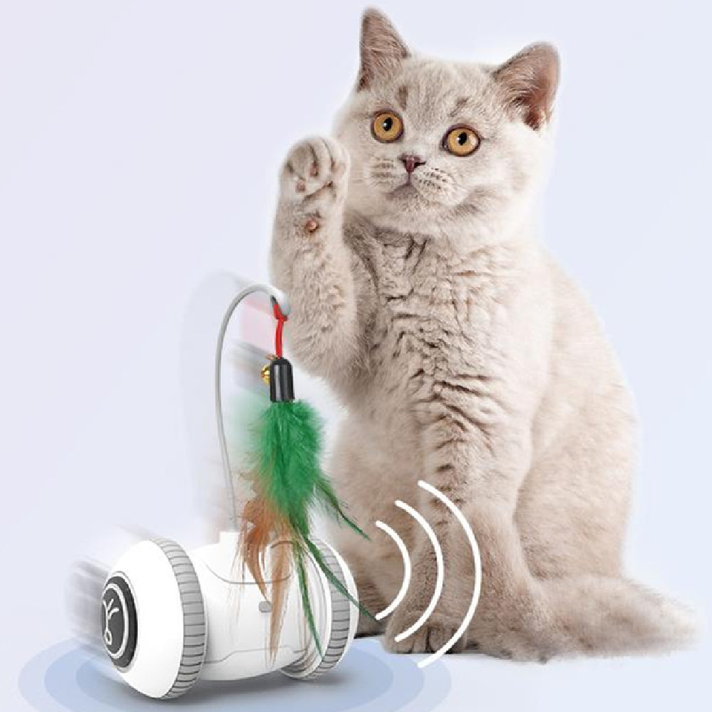 Interactive Cat Toy With Interchangeable Heads  Pet Feather Toys Main image