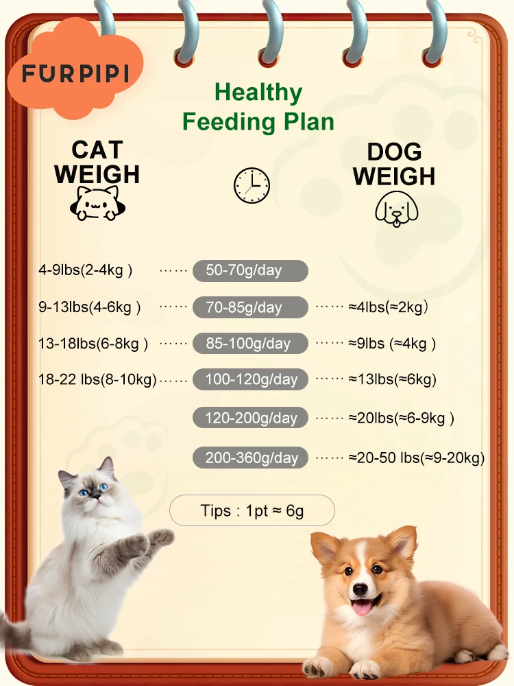 Automatic Cat Feeder Camera Pet Smart Cat Food Kibble Dispenser 2.4G/5GWiFi Tuya APP Control Auto Feeder For Cat Dog Accessories Automatic Cat Feeder Camera Pet Smart Cat Food Kibble Dispenser 2.4G/5GWiFi Tuya APP Control Auto Feeder For Cat Dog Accessories