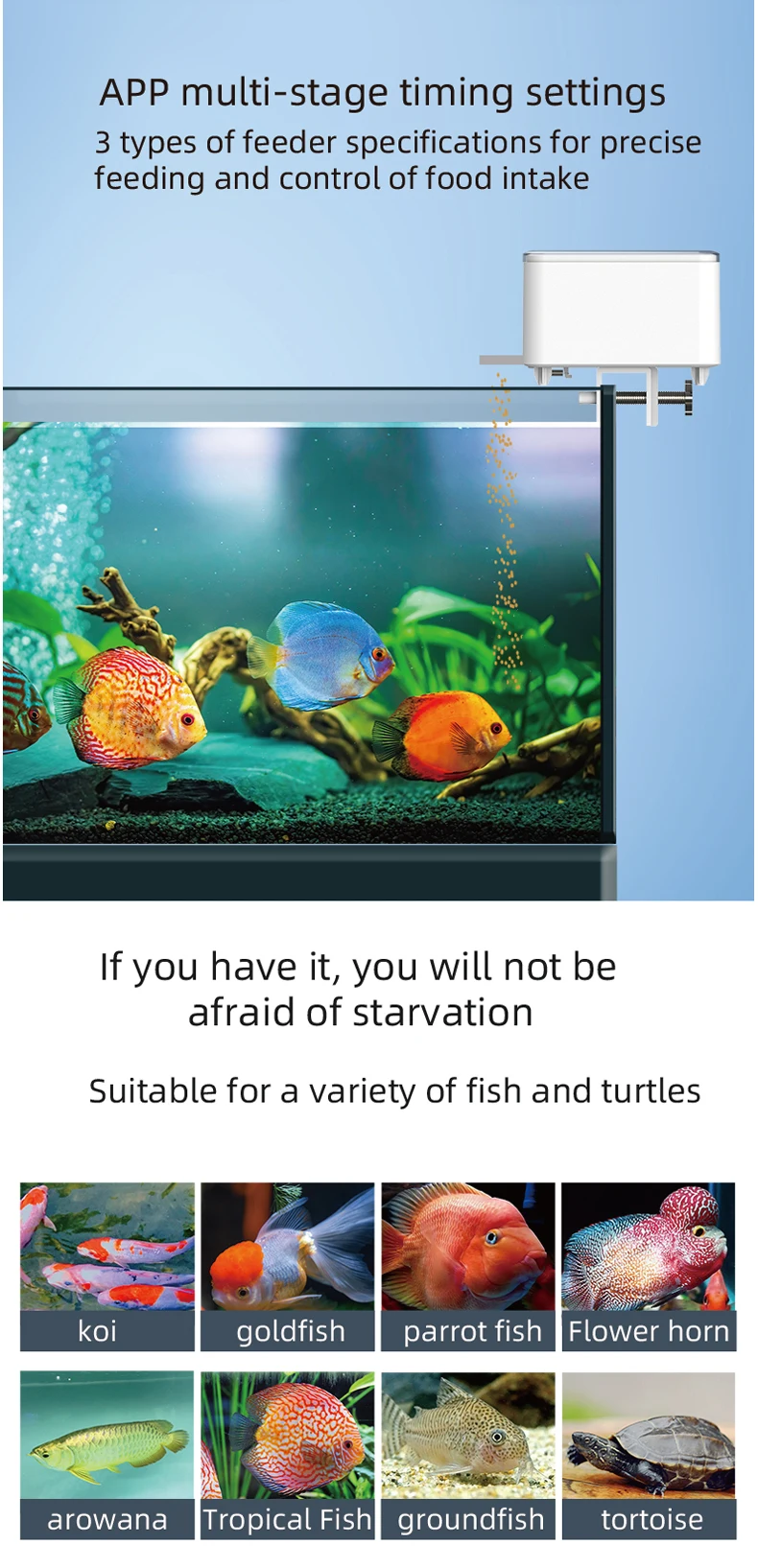 100ML Large Capacity Fish Feeder Mobilephone APP Control WiFi Intelligent Timing Automatic Feeder Aquarium Goldfish Feeder