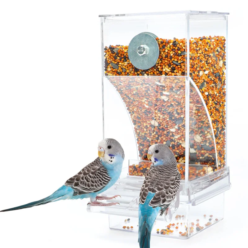 Automatic Parrot Feeder Drinker Acrylic Seed Food Container