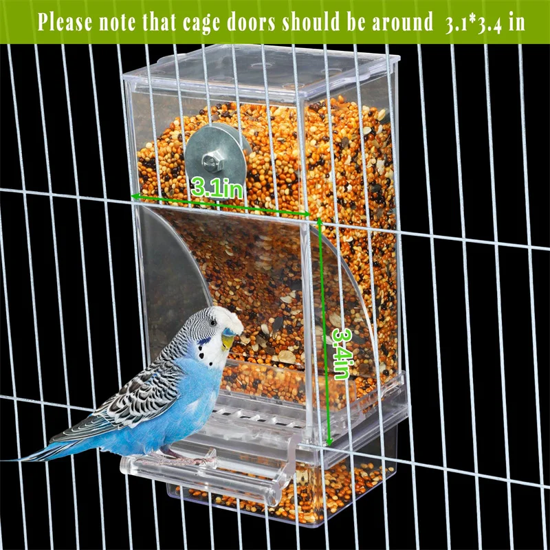 Automatic Parrot Feeder Drinker Acrylic Seed Food Container - Image 2