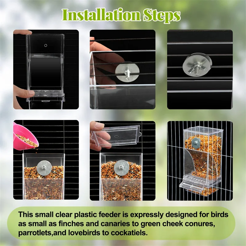 Automatic Parrot Feeder Drinker Acrylic Seed Food Container - Image 4