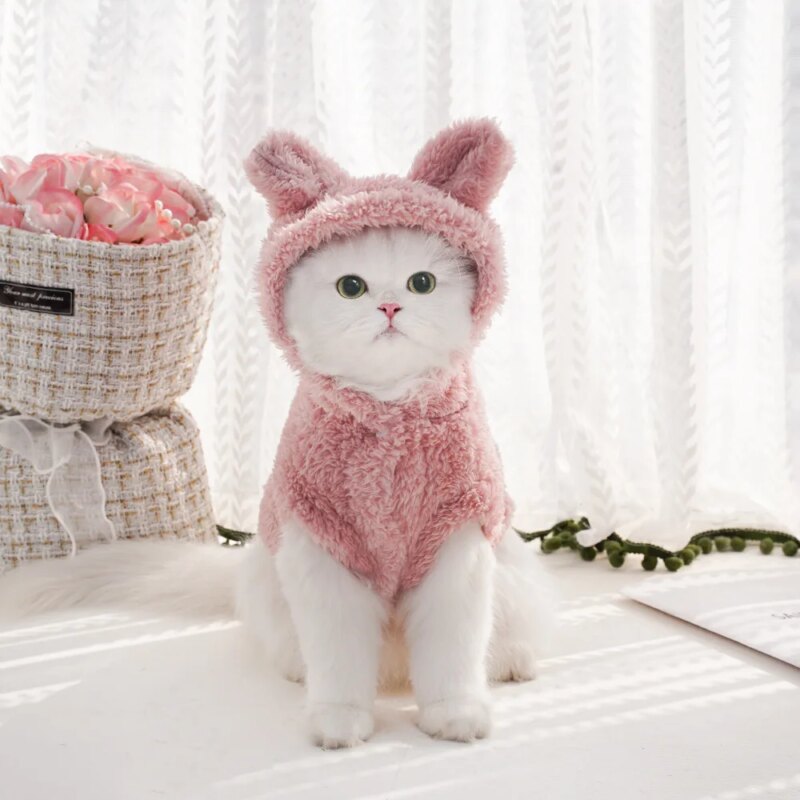 Cute Hoodie Coat for Cats Autumn Winter Puppy Hooded Jacket Sweater